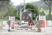 ref. photo 3571531