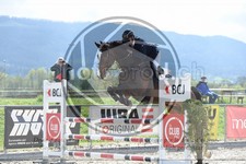 ref. photo 3571710