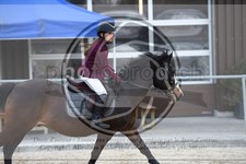 ref. photo 3571811