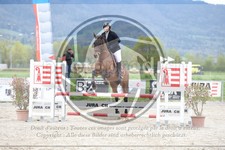 ref. photo 3571879