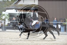 ref. photo 3571926
