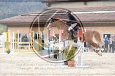ref. photo 3572038