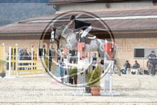 ref. photo 3572043
