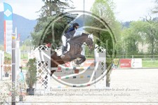 ref. photo 3572096
