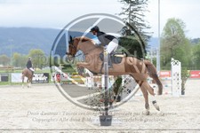 ref. photo 3572111