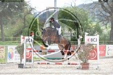 ref. photo 3572194