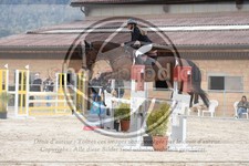 ref. photo 3572306