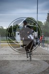 ref. photo 3572946