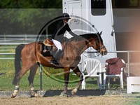 ref. photo 4021127