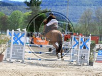ref. photo 4021157