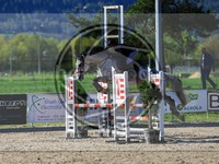 ref. photo 4021310