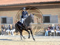 ref. photo 4021350