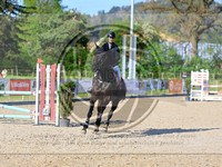 ref. photo 4021352