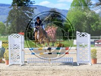 ref. photo 4021370