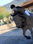 ref. photo 4021430