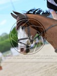 ref. photo 4021517