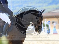 ref. photo 4021548