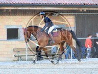 ref. photo 4021711
