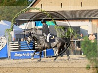 ref. photo 4021741
