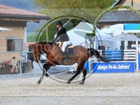 ref. photo 4021822
