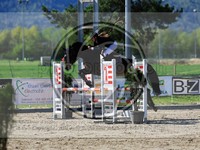 ref. photo 4021918