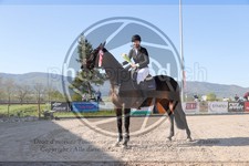 ref. photo 4021922