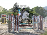 ref. photo 4022058