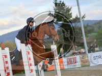 ref. photo 4022112