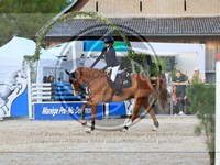 ref. photo 4022116