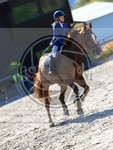 ref. photo 4022151