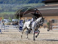 ref. photo 4022181
