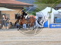 ref. photo 4022283