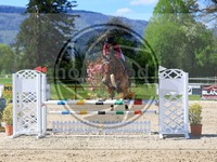 ref. photo 4022306