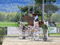 ref. photo 4022325