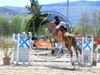 ref. photo 4022440