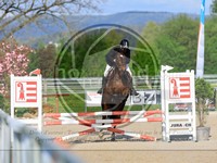 ref. photo 4022897