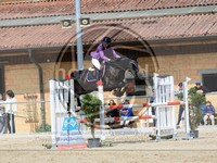 ref. photo 4022928