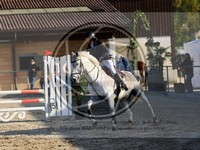 ref. photo 4023023