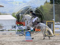 ref. photo 4023028