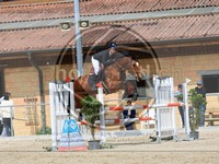 ref. photo 4023125