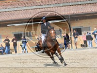 ref. photo 4023126