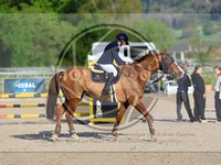 ref. photo 4023196