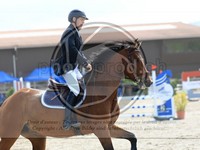 ref. photo 4023368