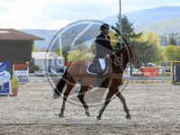 ref. photo 4023373