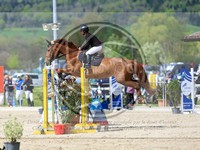 ref. photo 4023512