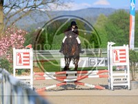 ref. photo 4023548