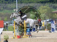 ref. photo 4023580