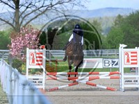 ref. photo 4023591