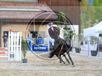 ref. photo 4023626