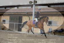 ref. photo 3101292